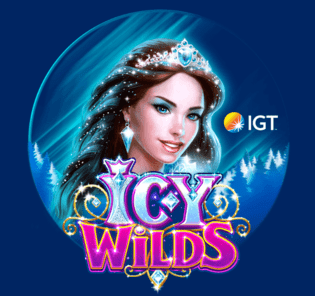 Icy Wilds